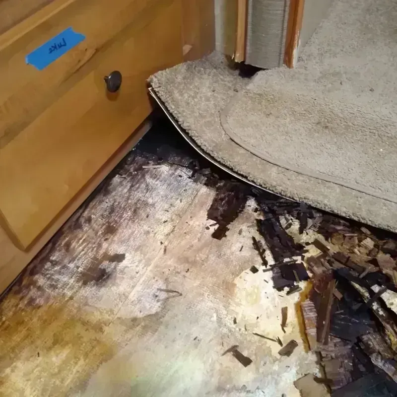 Wood Floor Water Damage in Kalkaska County, MI